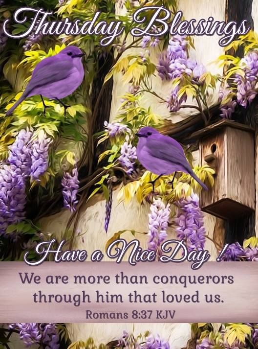 ConnieCline25's tweet photo. #ThankfulThursday https://t.co/Lm3jnozWjm