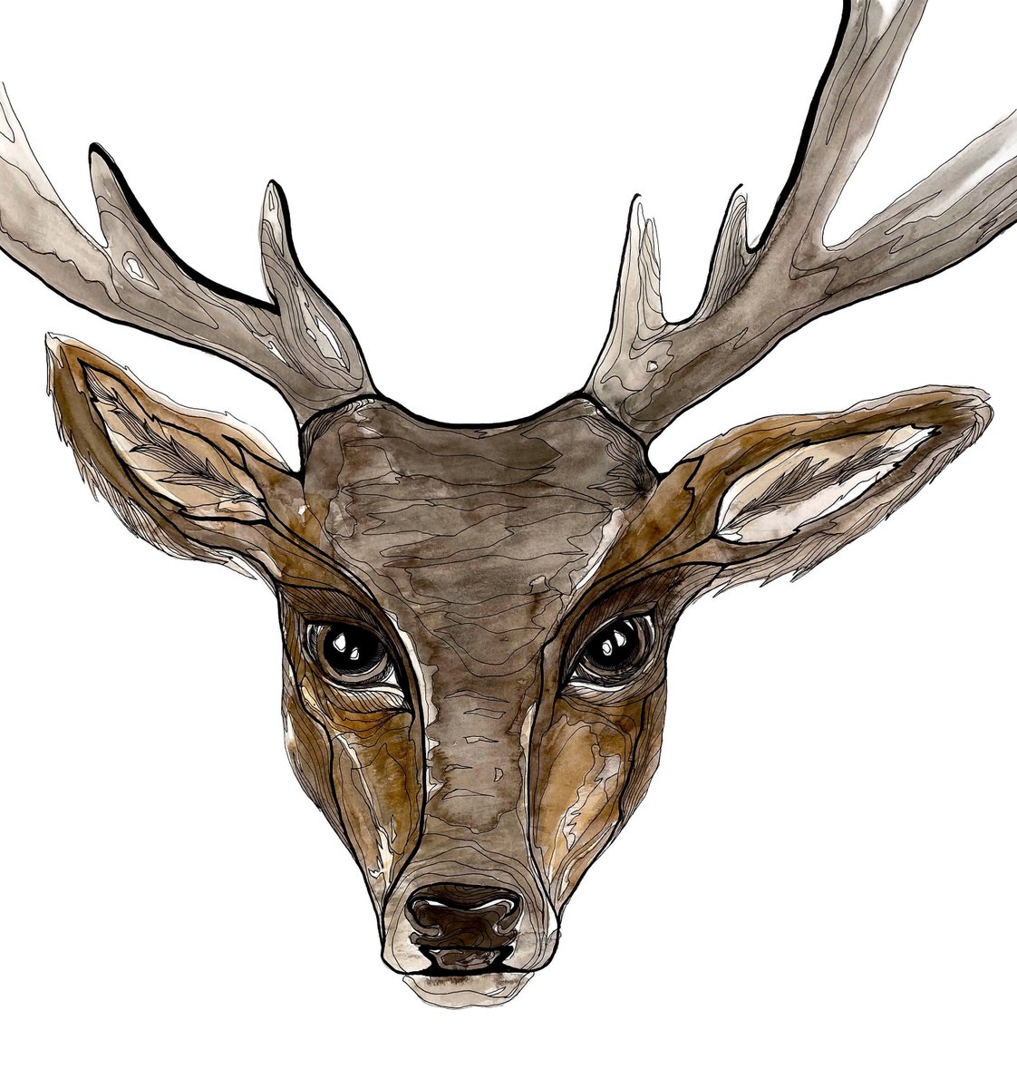 Excited to share the latest addition to my #etsy shop: Buck Deer Watercolor and Ink Original Painting, Seattle Art, 16'x 16' - SALE! etsy.me/2Zb44Dn #brown #rusticprimitive #animal #paper #deerart #buckpainting #deerwatercolorart #contourlineart #rusticart