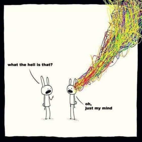 GinaAndwae's tweet image. I slept for 3 hours last night. No idea what’s fated for right now or in the morning. #kahkahkah

For sure stories and theories will coming reeling into my mind the moment my head hits the pillow 😔

#INFJProblems #INFJ #INFJStruggles