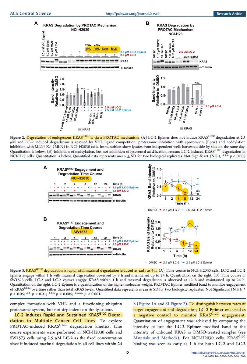 EvanJCarder's tweet photo. Nice work in @ACSCentSci by the @CraigMCrews team toward the development of the first reported #PROTAC to induce endogenous KRAS(G12C) degradation. Continued achievement toward challenging the notion of "undruggable." Check it out! https://t.co/JUHjfqxl0N https://t.co/PlFdeN7sUu