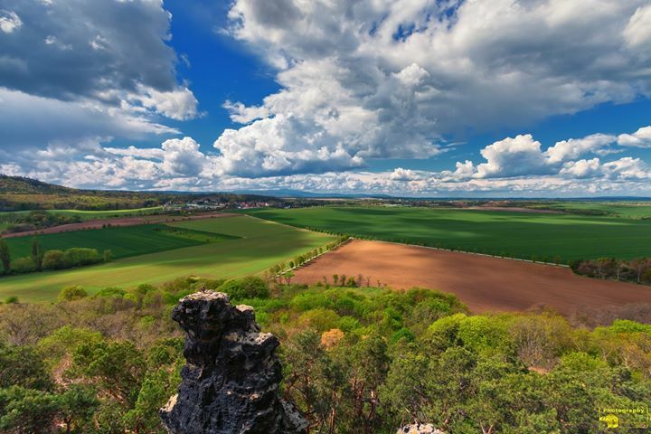 michaharz's tweet image. Die Aussicht vom Gläsernen Mönch ist immer wieder beeindruckend.

michael-lumme.de

#gläsernermönch
#langenstein
#halberstadt
#thekenberge
#aussicht
#fels
#aussichtspunkt
#harz
#leidenschaft
#fotografieren
#herz
#heimat
#zuhauseimharz
#harzliebe
#Landscape
#Landschaft
#N…