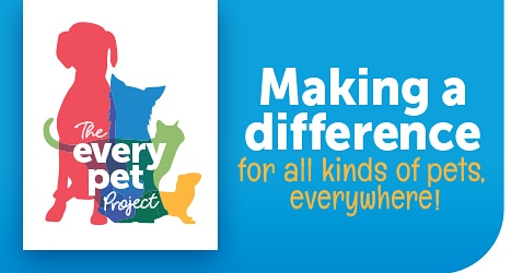 HumaneSocRome's tweet photo. Don't forget you can vote each day for our shelter to receive a $2,500 donation. Use the Every Pet Project link below to submit a nomination today!! Once you're there, check out the Gallery of Goodwill.

https://t.co/3uNunDL93U

#EveryPetProject https://t.co/LGXmP1H2VN