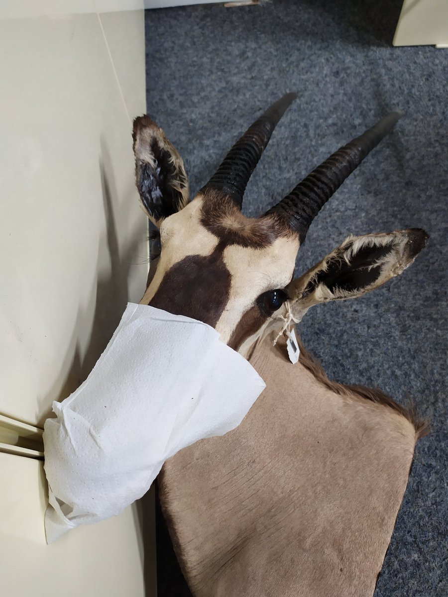 Claire Browning tweet media