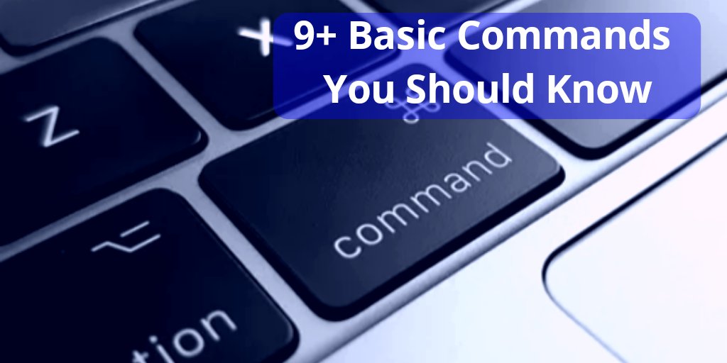 hcodeit's tweet photo. None of them take to much time and effort. Read here: https://t.co/1p5icXrEHy
#HCodeItBlog #commandprompt https://t.co/kN4SB1EyoO