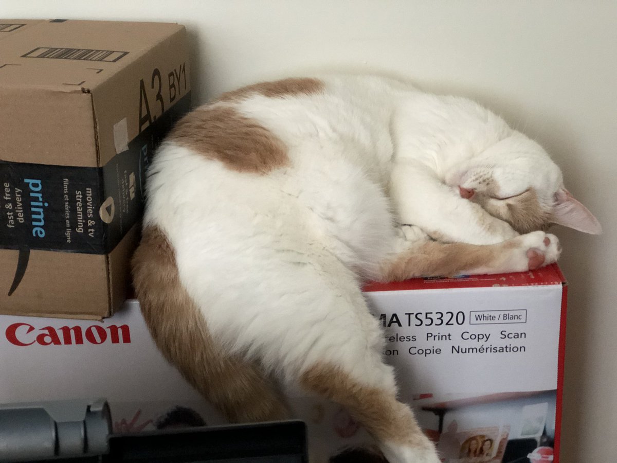 CaptainKillmer's tweet photo. I sleep among the boxes. https://t.co/KuivZ5CJRd
