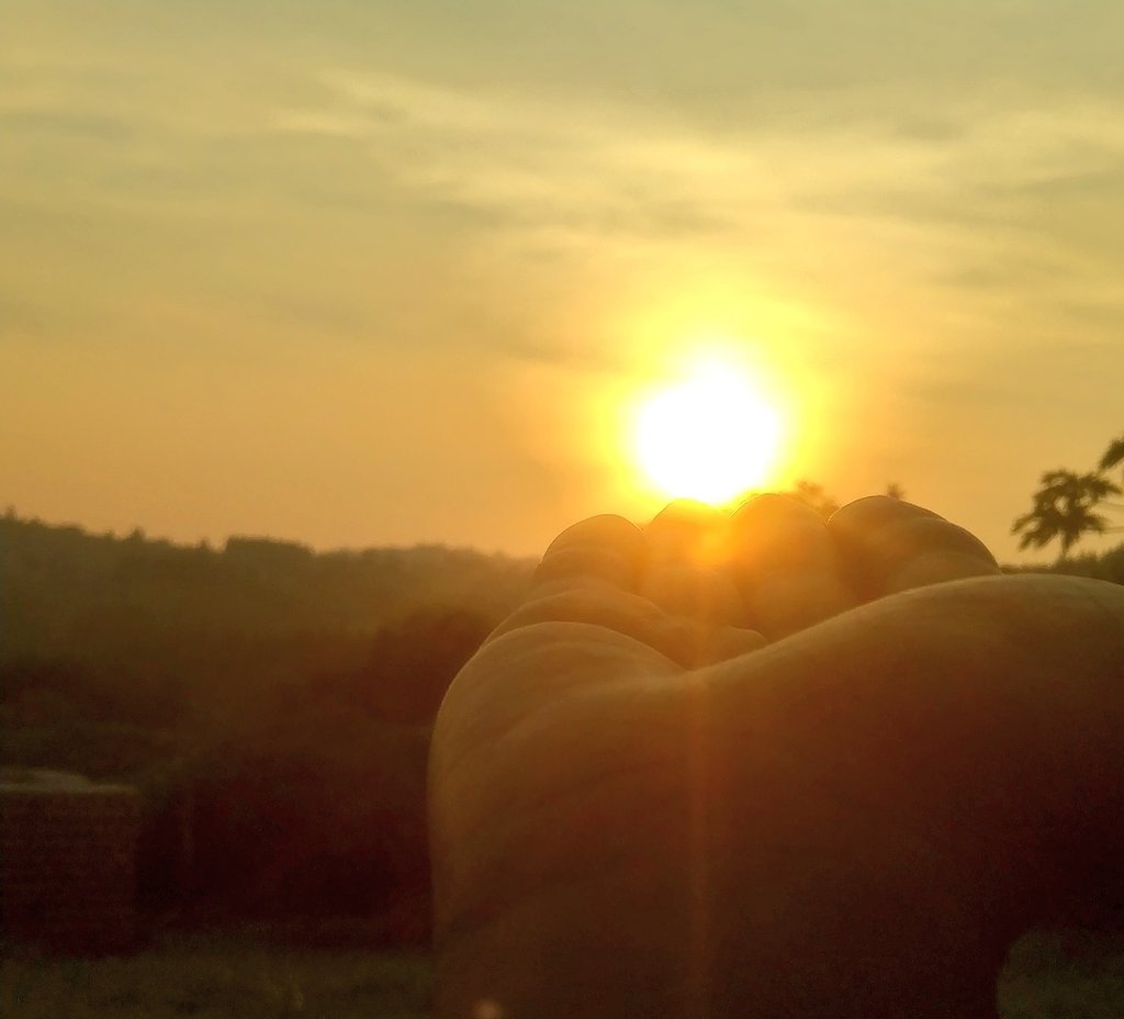 RachealHope_'s tweet photo. I spent my evening watching the sun go to sleep. 

#sunset https://t.co/iwtFj18n69