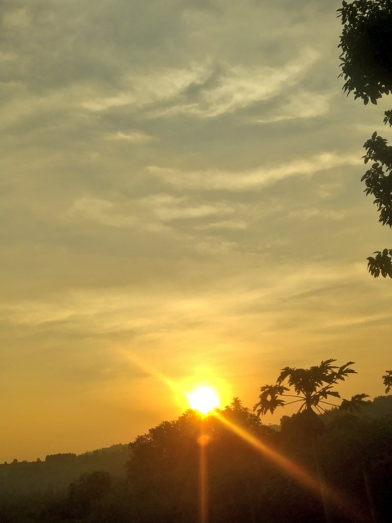 RachealHope_'s tweet photo. I spent my evening watching the sun go to sleep. 

#sunset https://t.co/iwtFj18n69