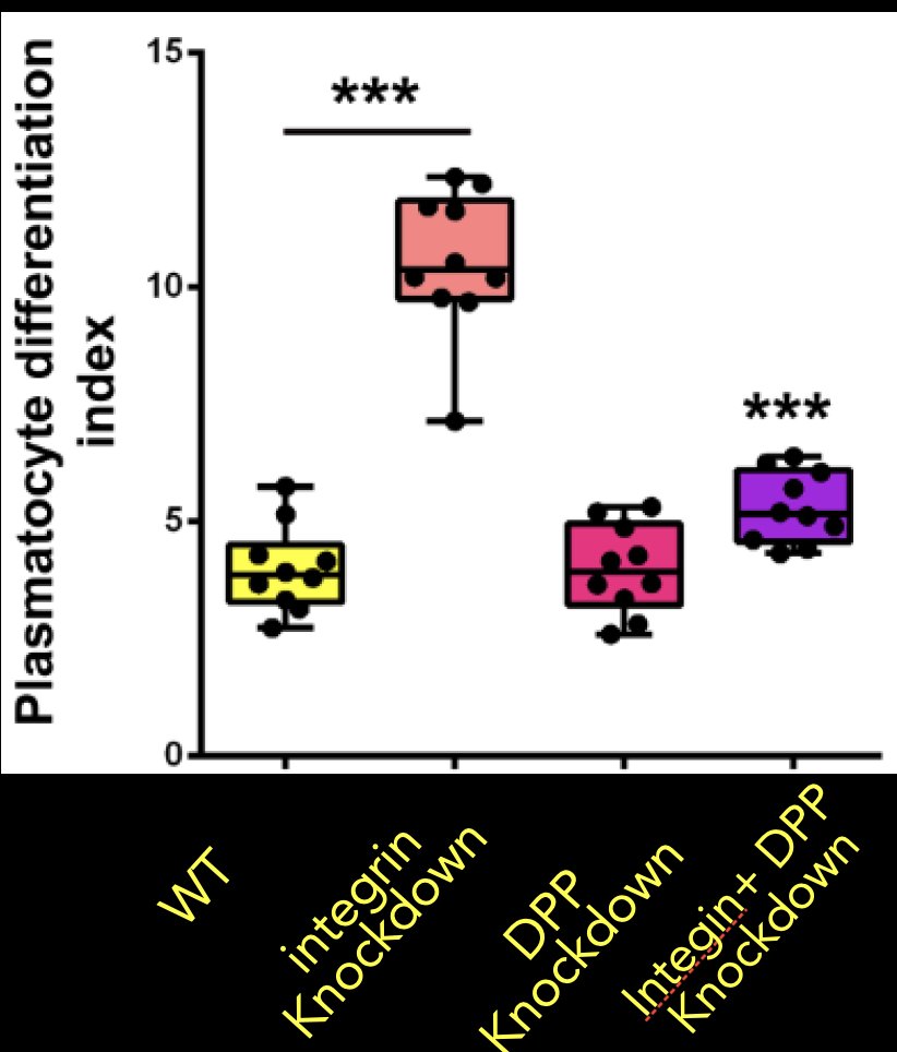 13. We could partially rescue loss of integrin in the lymph gland by over expressing Dpp.SO, cell signalling in the lymph gland is very complex but why were SO many different cell signalling pathways altered when the density & architecture of the ECM was modulated by integrins?