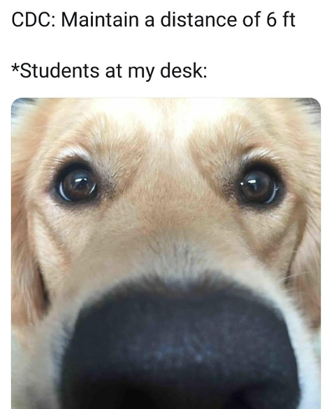 Habits of Mind Kids tweet media