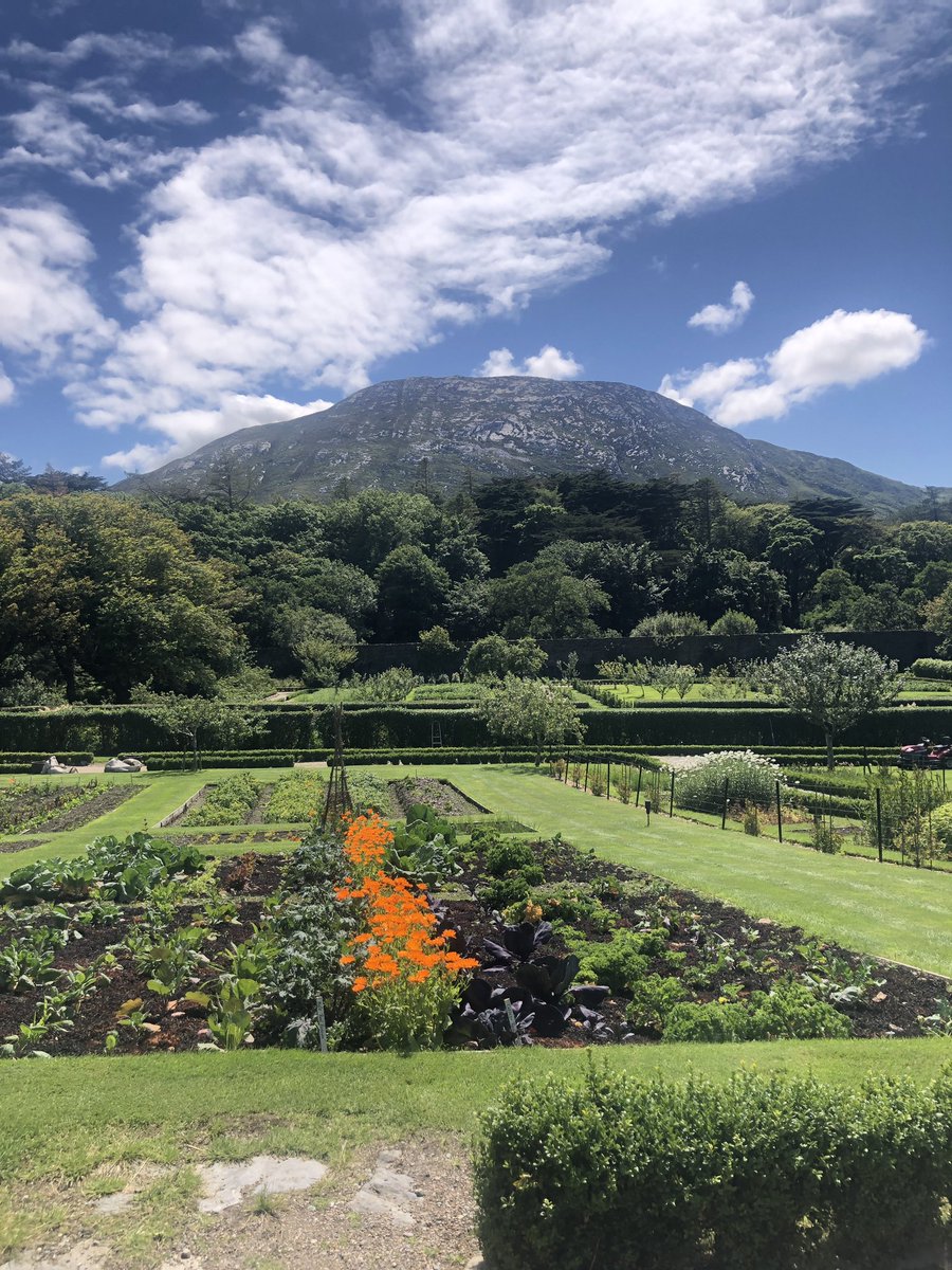 clare_duignan's tweet photo. #Victorian Walled Garden, Kitchen Garden, #Herbacious Border, and the sweetest plant I almost stole at beautiful @Kylemore today! Notice the empty paths-go around 10.30am opening time +you will almost have the place to yourself! @Failte_Ireland #MakeABreakForIt https://t.co/p12Vb4S8vJ