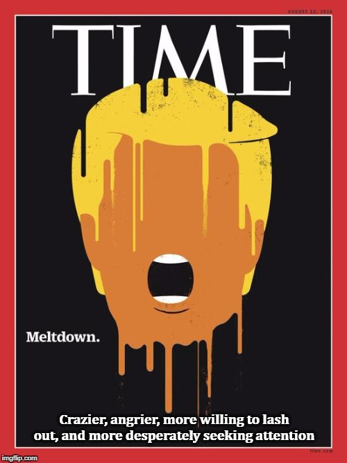 GrannySmith1776's tweet photo. @hmitchell @realDonaldTrump #TrumpMeltdown #TrumpBitchSlapped https://t.co/9jCpDkyXiG