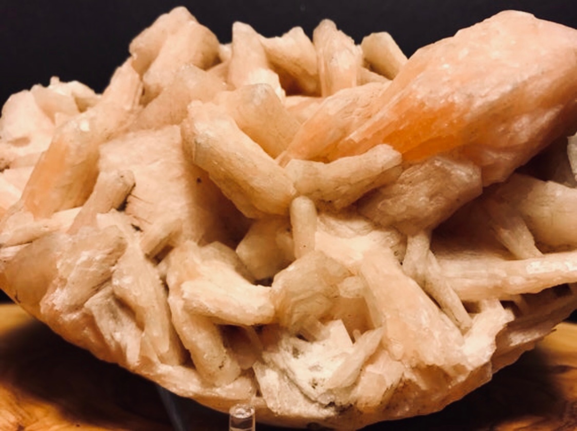desertfossils's tweet photo. This beautiful Stilbite is definitely an eye grabber. It has several points that glimmer in light.
#stilbite #rocksandminerals #crystals #pinkrock #india #minerals #glimmer #cool #newstuff #earth #meditation #homedecor #collection #etsyshop #follow4followback #dailydouble https://t.co/J8jvRpEclS