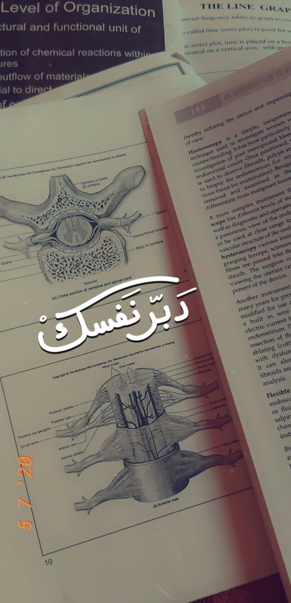 بعنووووان دبر نفسكك هالفصل 😭😭😭😭😭😭😭😭😭😭😭
وبعنوووان كأنك شاطر انجح بالهبد الي هبدته على هالصيفي 😭🥺🥺🥺💔🚶‍♀️🚶‍♀️