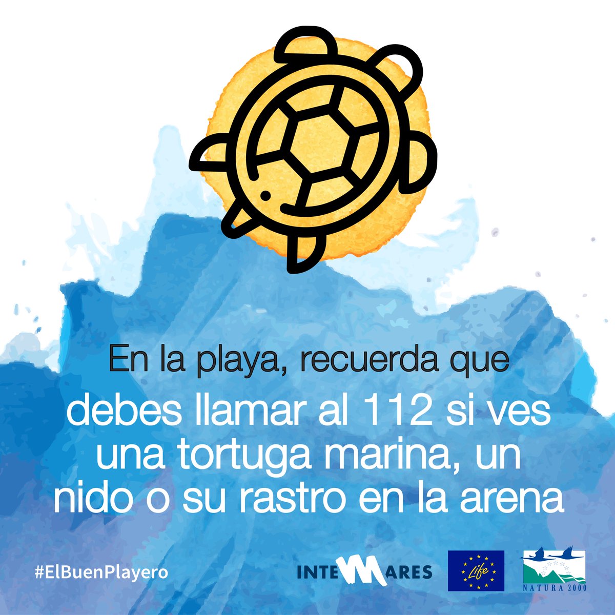 LifeIntemares's tweet photo. 😍Estamos en plena temporada de nidificación de #tortugas marinas y algunas ya se han acercado a nuestras playas para dejar sus huevos. 

🏖️Las ayudarás si dejas la playa limpia 😉 https://t.co/9E0GAFM4Ih
