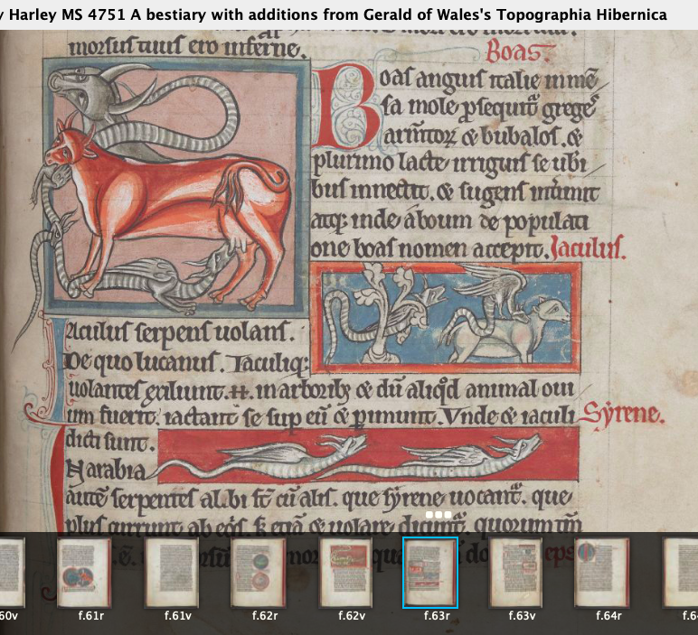 LeonorZozaya's tweet photo. Many animals represented in #BLHarley MS 4751 can be used to make #parchment as goats or sheep, but I wouldn't recommend mermaids, griffons, unicorns and other families to make it.
;-D
PS: don't loose last #BloggingMSS session!
#imc2020 @OxMedStud
https://t.co/GC5qPp4OjZ https://t.co/WRWRtKftJT