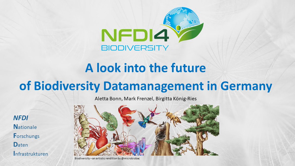 GFBio_eV's tweet photo. The #GFBioRoadshow was guest at yesterday's Research Data Management Day @iDiv: Intro to @NFDI4BioDiv,
followed by GFBio's practical tips and services, and a final Q&A round with the local #RDM support team.
Thanks to @iDiv for inviting us, and all participants for joining! https://t.co/eV3Qr5MQHm