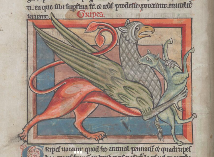 LeonorZozaya's tweet photo. Many animals represented in #BLHarley MS 4751 can be used to make #parchment as goats or sheep, but I wouldn't recommend mermaids, griffons, unicorns and other families to make it.
;-D
PS: don't loose last #BloggingMSS session!
#imc2020 @OxMedStud
https://t.co/GC5qPp4OjZ https://t.co/WRWRtKftJT