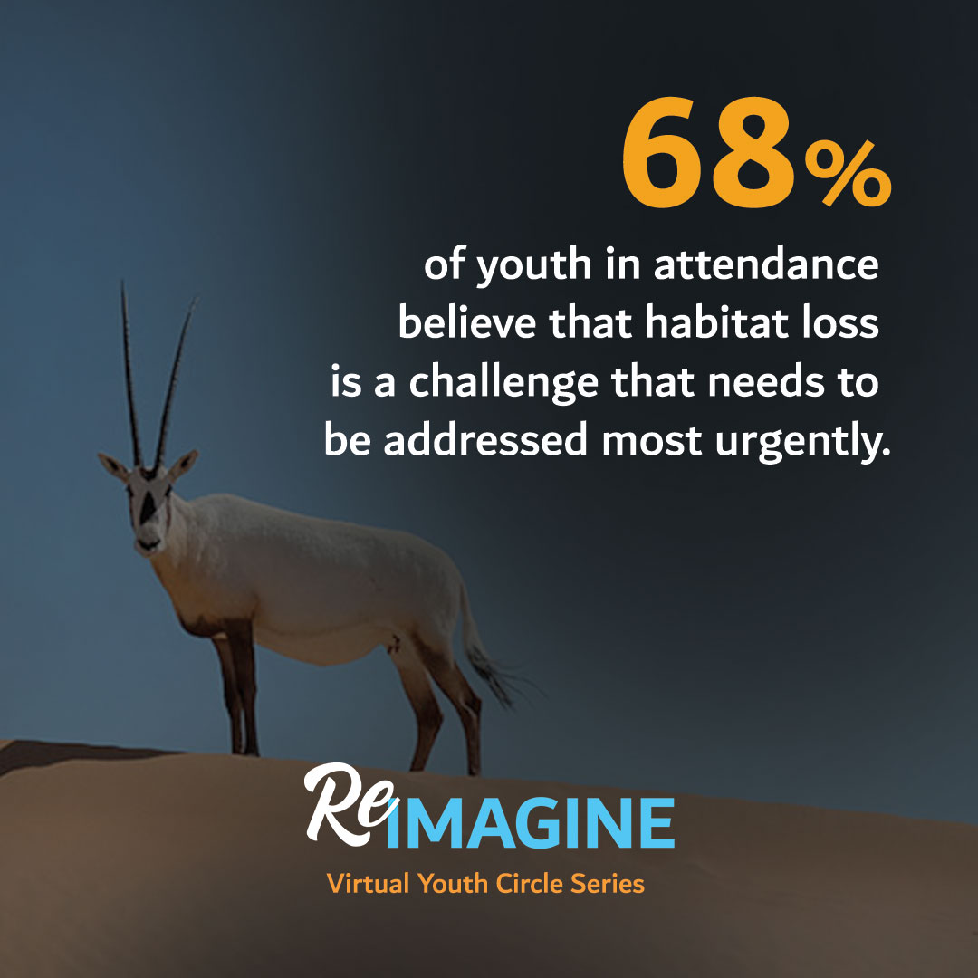 cwnUAE's tweet photo. Some really interesting insights came out of our last 'Reimagine' #YouthCircle. If you missed it you can check out the highlights on this link: https://t.co/Ve0RqQR8sH cc: @HoubaraFund @EADTweets https://t.co/tCUH4Khwrp