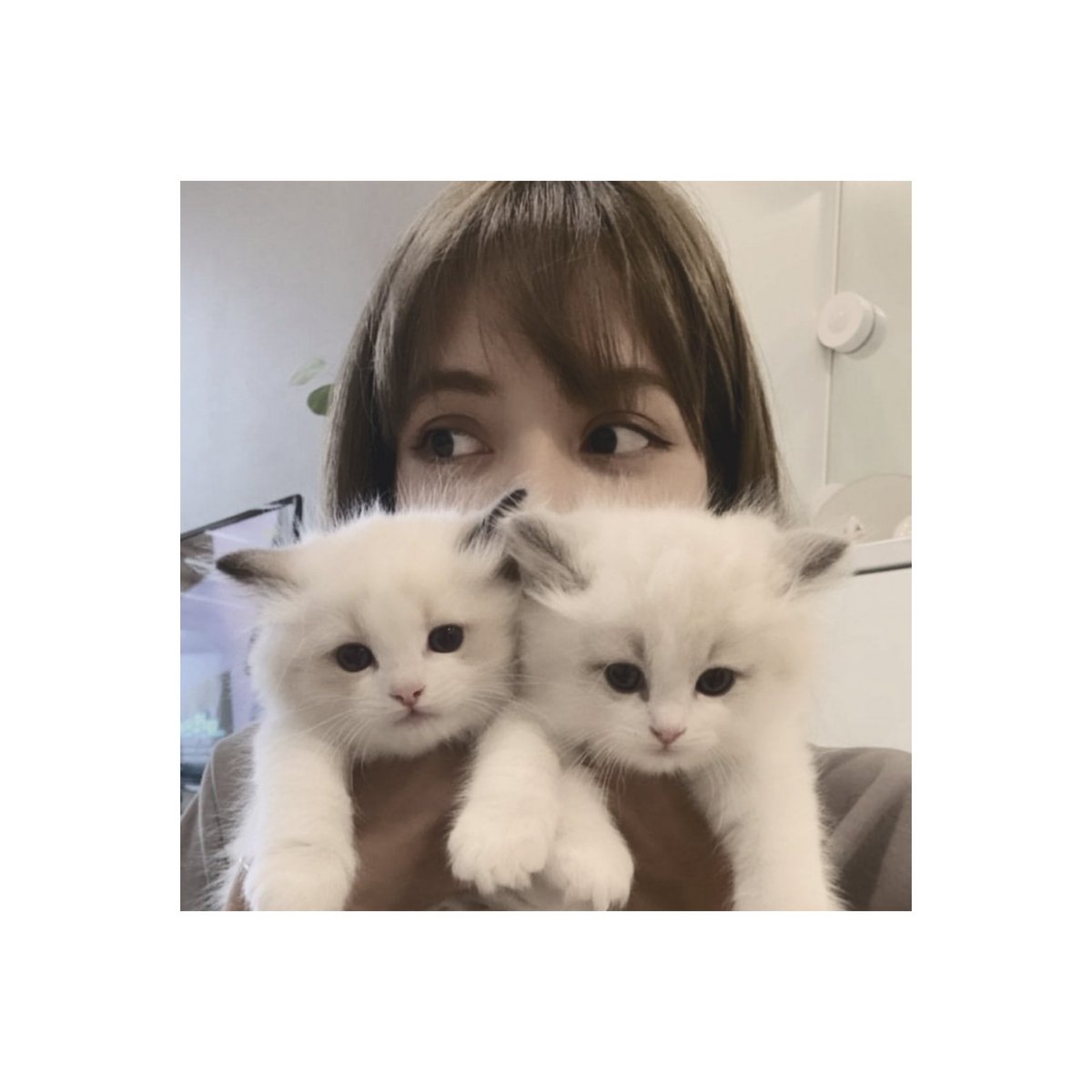 blinkmutualgain's tweet photo. #Lisa https://t.co/ny8GRjnyIL