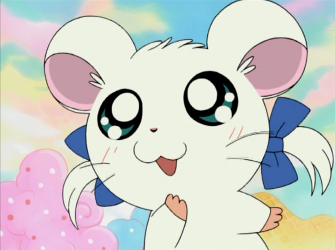 リボン ちゃん 7月10日 とっとこハム太郎のキャラクター 私が一番好きなキャラクターリボンちゃん今日誕生日 リボンちゃん誕生日おめでとうでちゅわ とっとこハム太郎 リボンちゃん リボン ちゃん 7月10日 とっとこハム太郎のキャラクター 私が一番好きなキャラクターリボンちゃん今日誕生日 リボンちゃん誕生日おめでとうでちゅわ とっとこハム太郎 リボンちゃん