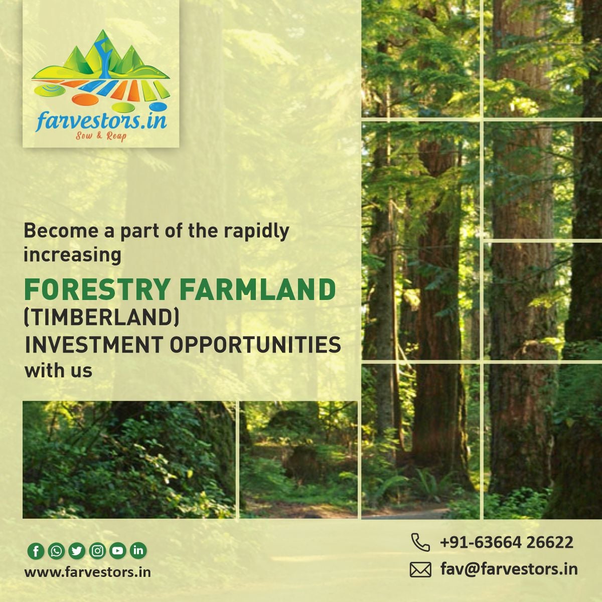 farvestors's tweet photo. #largescalefarming #farmland #farmplots #Agriculture #farming #investment for #future generations #BuyFarmland #InvestInAgricultureIndia https://t.co/iLLNfvzVkH