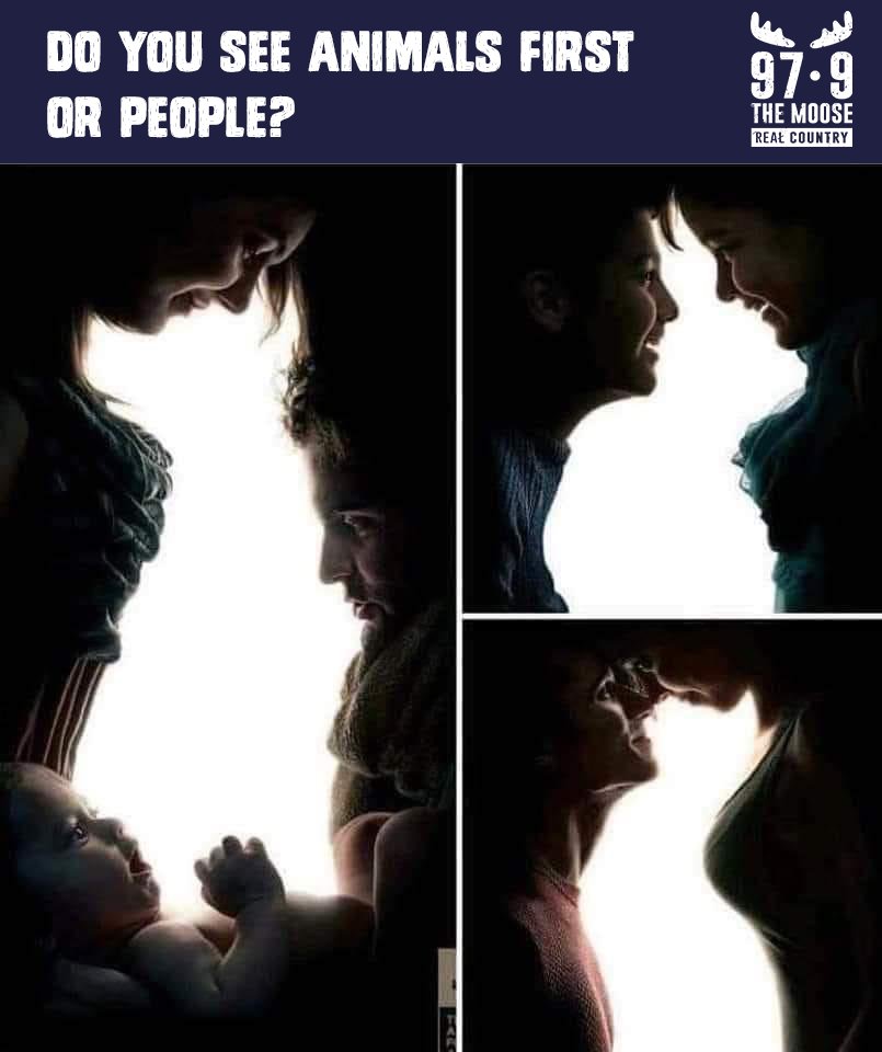 979TheMoose's tweet photo. THIS IS COOL! What do you see first? Animals or people? Be honest and reply! https://t.co/eGZy1rpmmt