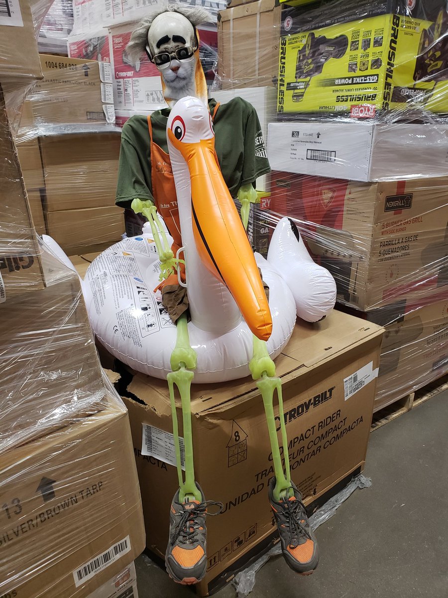 SkellyIce's tweet photo. I'm "Feline" fine on this Thursday, just floating in a sea of freight. πΉπ π£ #CatsDontLikeWaterOrFreight #thursdayvibes #SkellyStyle #Hhaamamhhaamamam
@DoepelZac @linda7664 @BunnieKat1962 @OctoberBones @Dave_Wilhelm https://t.co/MBwfrXdcSr