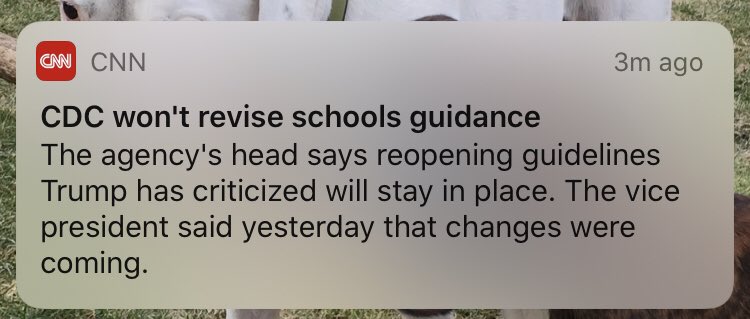 MissKayComputer's tweet image. Thank you @CDCgov for holding firm on your recommendations and not giving in to the #bullying of the #TrumpAdministration. #coronavirus #ReopeningSchools #schoolsafety #TeachersLivesMatter #TeachersHaveFamiliesToo #cdc