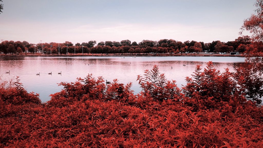 barackeraslan's tweet photo. This red filter on IG works wonders https://t.co/twODCt8PQ9