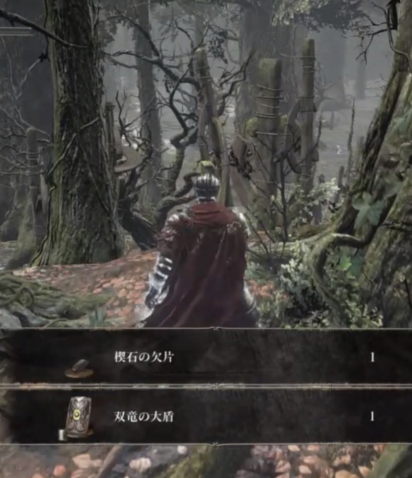 ダークソウル3 武器種ランダム攻略 Min T ミント