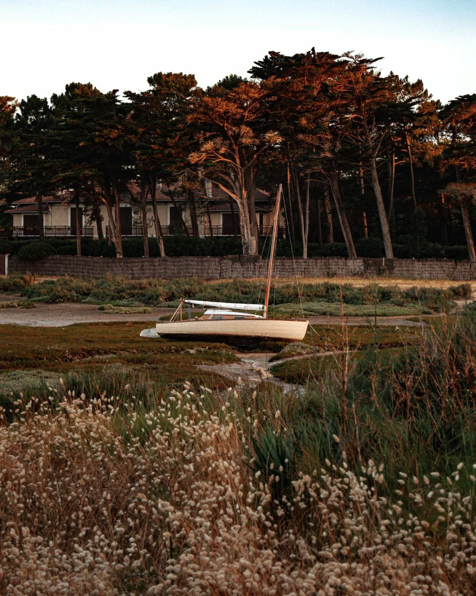 RonGS_'s tweet image. En revenant par la lagune #jeudiphoto