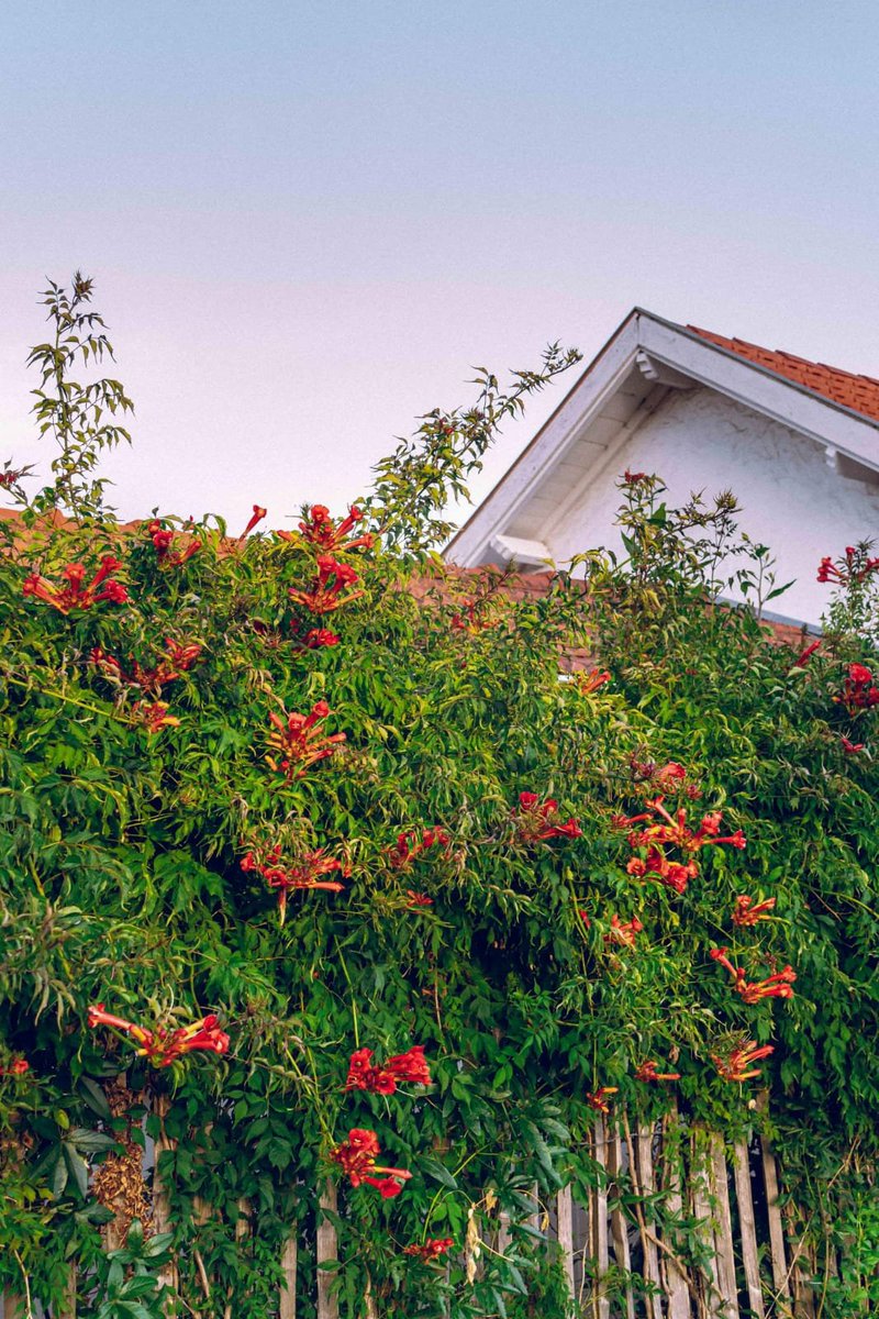 RonGS_'s tweet image. En revenant par la lagune #jeudiphoto