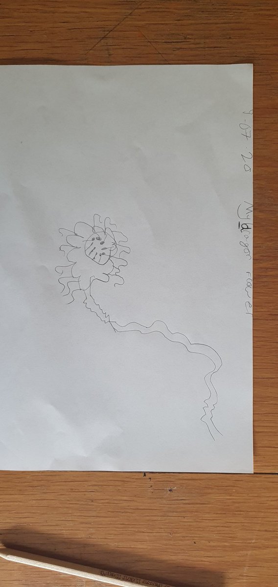 Kate06020820's tweet photo. @MrsPhil10445060 Tobie watched quite a few chapters of The boy who grew dragons so he could draw the flower and he has done the body one aswel hope its right he also made his breakfast scrambled egg on toast with cheese and grapes 😬 https://t.co/pfvyLMCJ5U