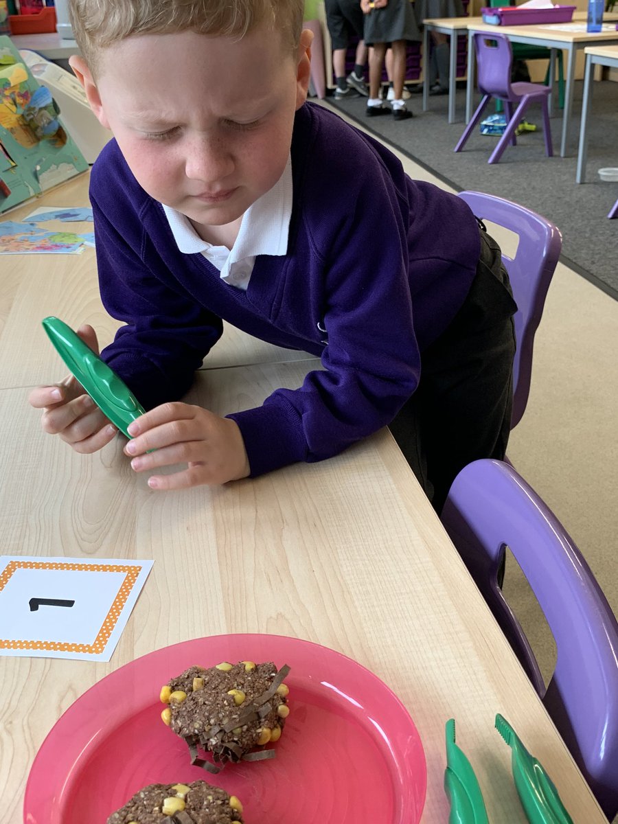 Apollo_Class's tweet photo. Things you never thought you’d say... until becoming a teacher... “so, let’s investigate the poo” **DISCLAIMER**It’s not real poo! But the children didn’t know that until after**
They had to work out if it came from a carnivore, omnivore or herbivore. Such fun! @FairfieldsPrim1 https://t.co/Dw0pWleyHT