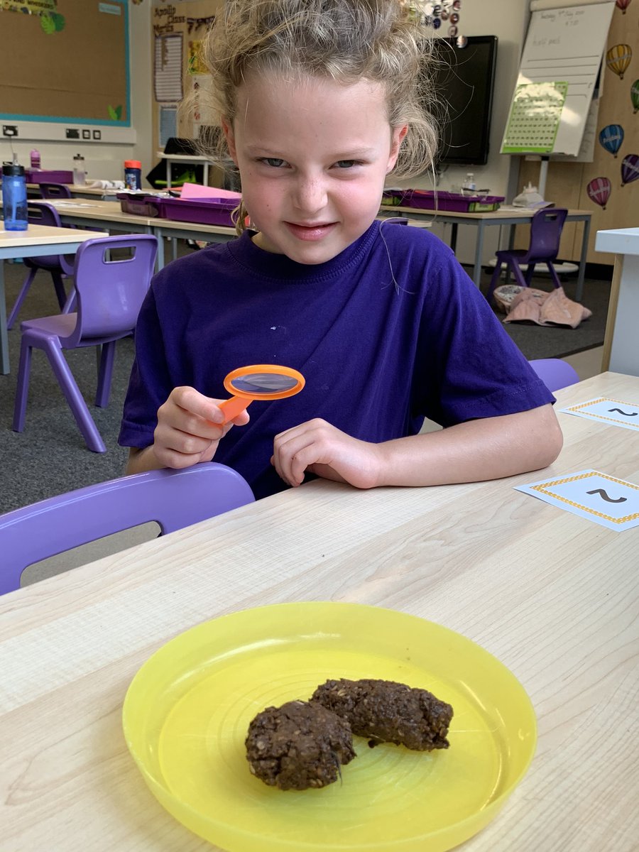 Apollo_Class's tweet photo. Things you never thought you’d say... until becoming a teacher... “so, let’s investigate the poo” **DISCLAIMER**It’s not real poo! But the children didn’t know that until after**
They had to work out if it came from a carnivore, omnivore or herbivore. Such fun! @FairfieldsPrim1 https://t.co/Dw0pWleyHT