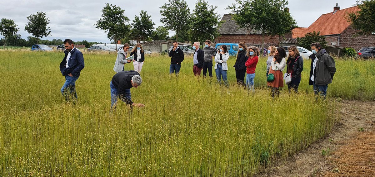 Yann Flodrops tweet media