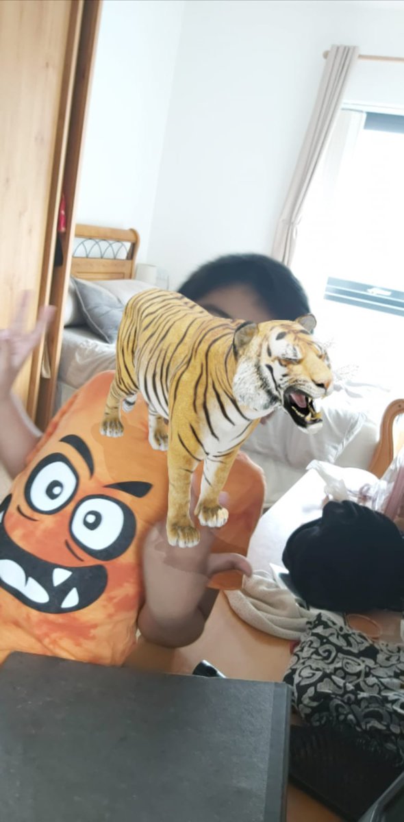 Shakera73752895's tweet photo. @WoolmoreTweets Having fun with 3D tiger fun#homeschooling #bigCatsHomework https://t.co/K6OyZaSYh6