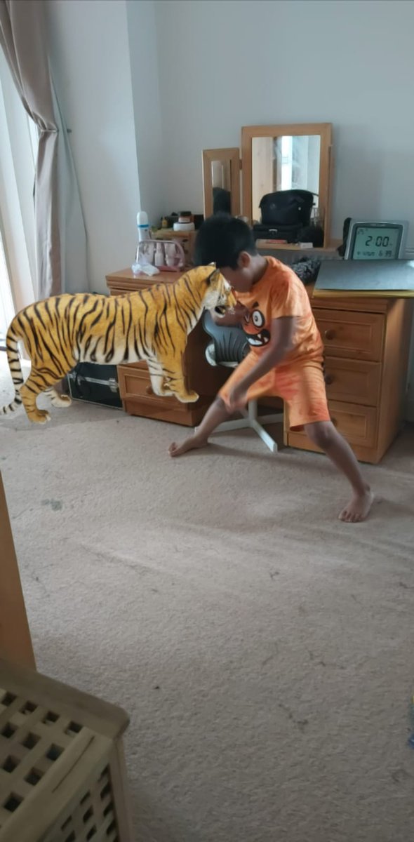 Shakera73752895's tweet photo. @WoolmoreTweets Having fun with 3D tiger fun#homeschooling #bigCatsHomework https://t.co/K6OyZaSYh6