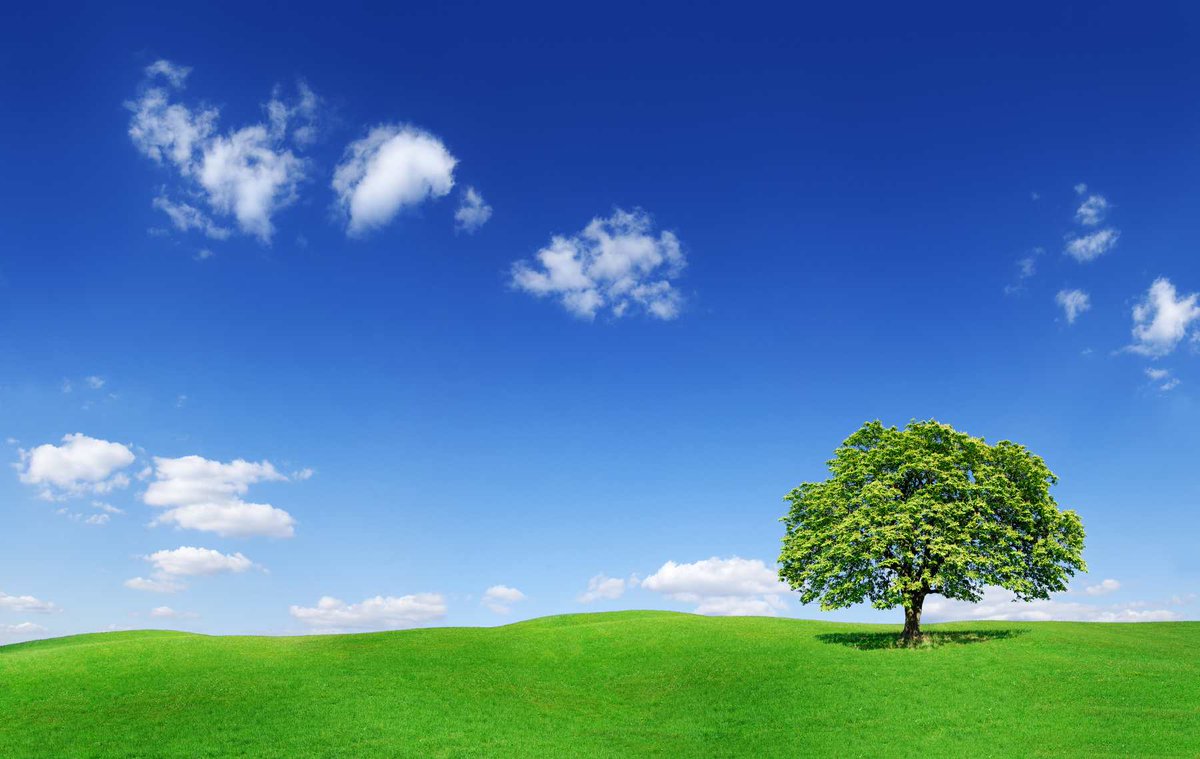 We must continue to play our part in improving air quality post lockdown. As a leader in DPF cleaning we stand ready to help customers operating commercial and off-road vehicles >> ceramex.com/2020/07/09/imp…