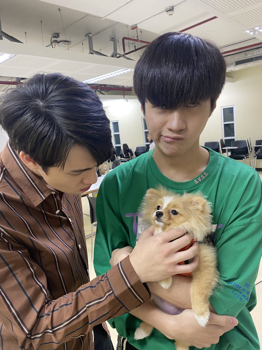 MeanPlanPH's tweet photo. [UPDATE] ⬆️
200709

Our Dearest TinCan Couple with Cutie  Roommate! 💙💚
Too Lovely to Handle! 💖

#2wish
#MeanPhiravich
#คนของแปลน 
©️ P'Zaa
-🐱 https://t.co/gcHTq871hQ