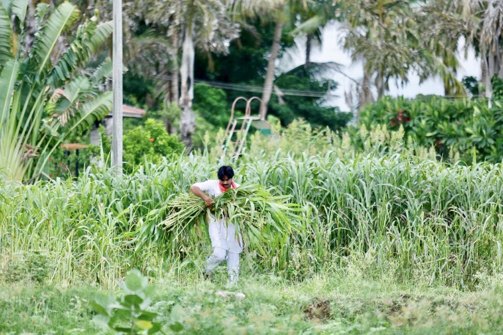 EcfJ6pAX0AAE6BZ?format=jpg&name=medium