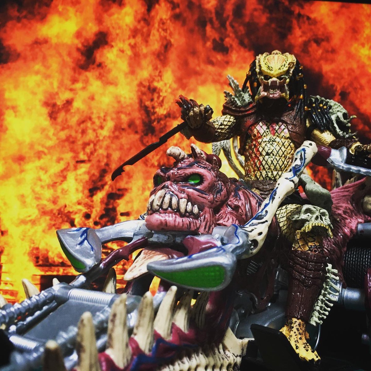 araithegamer's tweet photo. Predator Bad Blood
#badbloodpredator
#enforcerpredator
#akira
#kanedabike
#predator
#オモ写
#フィギュア撮影友の会
#figlife https://t.co/gqUMtOtLOK