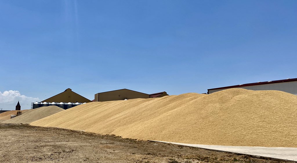 Cristina_Carro's tweet photo. ...y mientras los montones de cereal siguen creciendo, y las naves están completamente llenas... Alguien en Chicago o en París, especula sobre su precio. Quizás sea necesario recordarlo 😉. #globalización #cereal #precios #surcoscyl https://t.co/xMGI9XIwrs