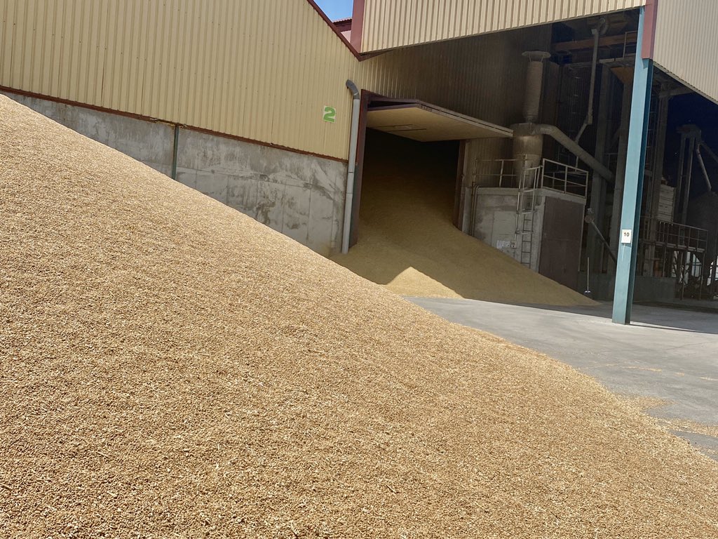 Cristina_Carro's tweet photo. ...y mientras los montones de cereal siguen creciendo, y las naves están completamente llenas... Alguien en Chicago o en París, especula sobre su precio. Quizás sea necesario recordarlo 😉. #globalización #cereal #precios #surcoscyl https://t.co/xMGI9XIwrs