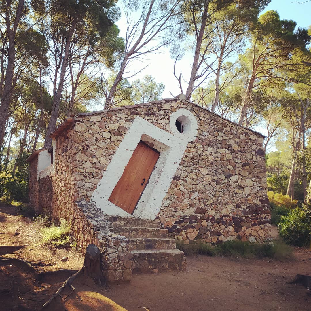 Amanecer a través de tus ojos
es contemplar una realidad
que a veces, me cuesta reconocer.