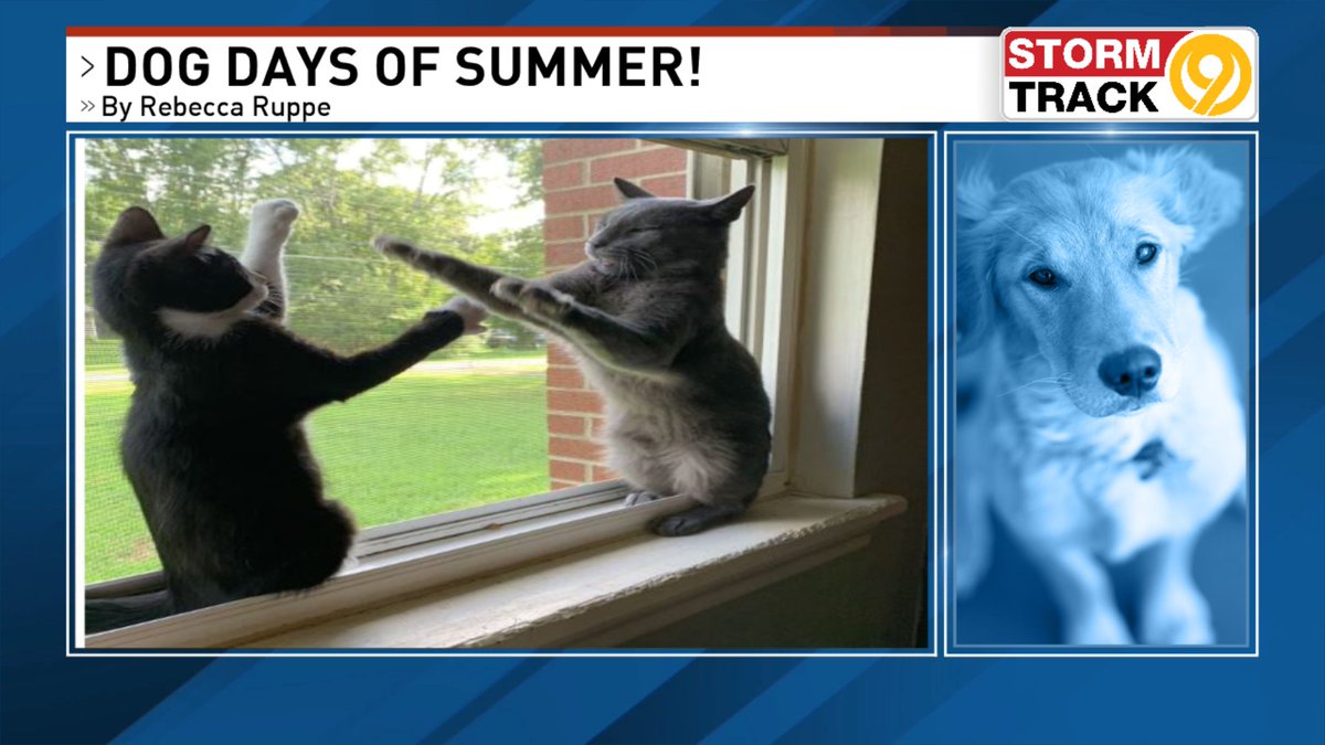 Download Brian Smith Wtvc On Twitter Dog Days Of Summer Well Kinda Desktop Wallpaper Wallpaper Brian Smith Wtvc On Twitter Dog Days Of Summer Well Kinda Desktop Wallpaper Free