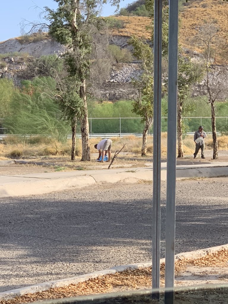 dinorahvegao's tweet photo. Ayer por el rumbo de la Sauceda ciudadanos regando árboles con garrafones de agua, la mayoría se están secando, ninguna autoridad se hace cargo de ellos:                               *Héroes sin capa, gracias. https://t.co/FKN3tr9c46