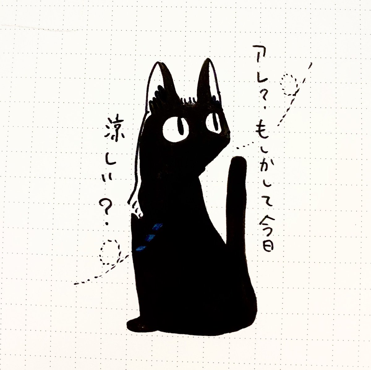 今日はずっと怖い黒猫描いてたので可愛いめの……✍️ 
