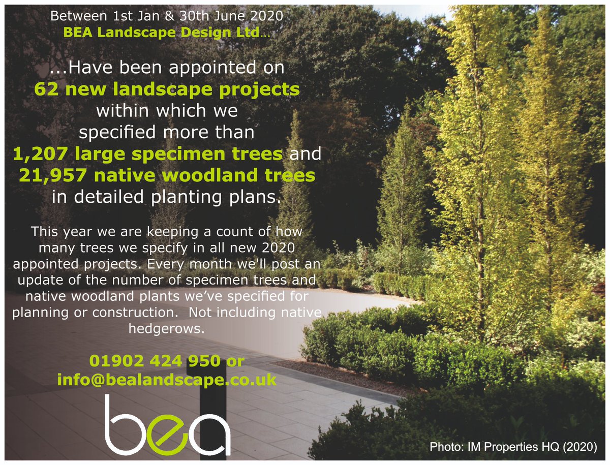 Month 6... This year BEA Landscape Design is keeping count of how many trees we specify in our planting plan🌳