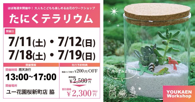 桜新町 ワークショップ 多肉植物で作るテラリウム 練馬区の一般投稿 練馬区民ニュース